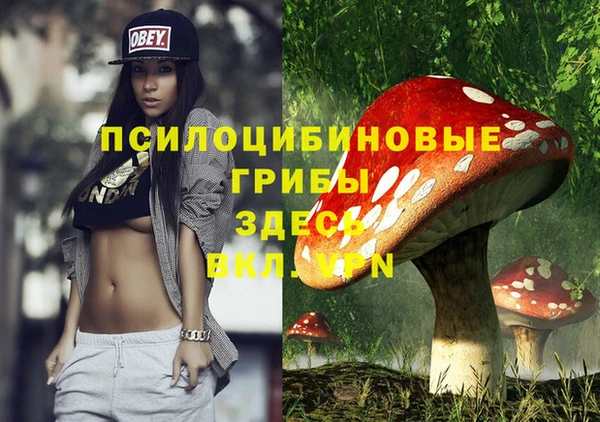 экстази Вяземский