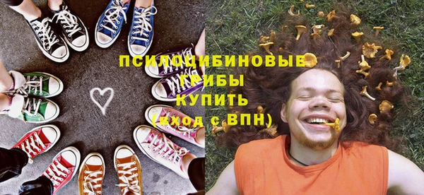 экстази Вяземский